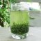 信阳毛尖高山雨前春茶新茶口粮好茶11